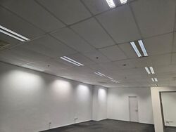 Loyang Industrial Estate (D17), Factory #498663621